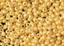 Бисер Чехия круглый 10/0 50г 46383 жемчужный
